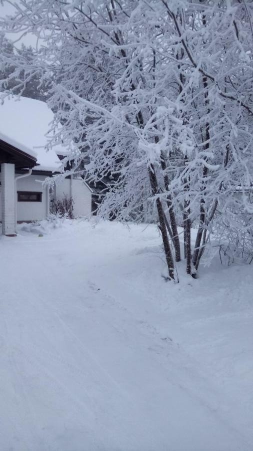 The House Near Santa Park Villa Rovaniemi Exterior foto