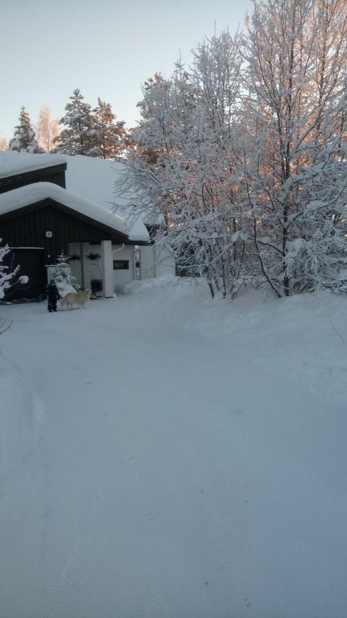 The House Near Santa Park Villa Rovaniemi Exterior foto